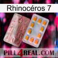 Rhinocéros 7 new13